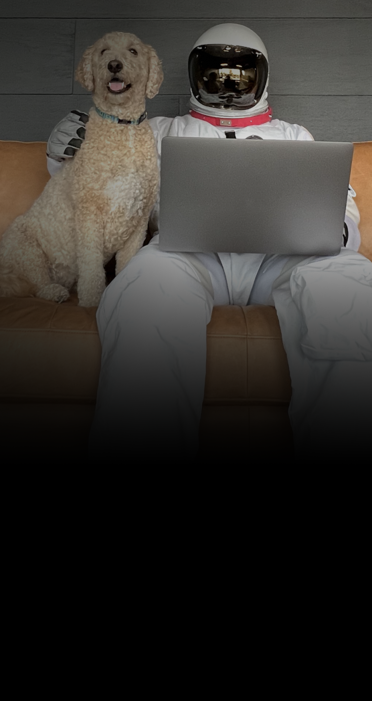 An astronaut with a laptop, sitting on a couch with a large dog.